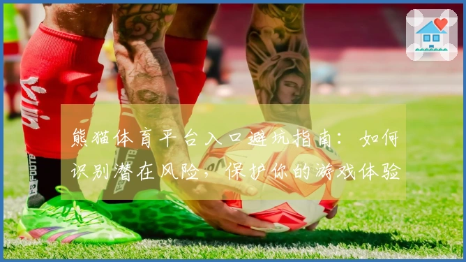 熊猫体育平台入口避坑指南：如何识别潜在风险，保护你的游戏体验