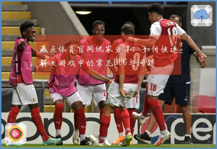 赢点体育官网玩家分享：如何快速解决游戏中的常见BUG与问题
