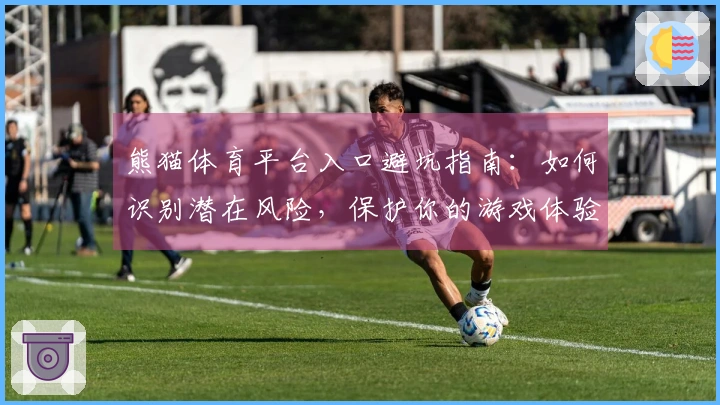 熊猫体育平台入口避坑指南：如何识别潜在风险，保护你的游戏体验